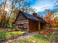 Dom, Drzewa, Liście, Jesień, USA, Słońca, Park Narodowy Great Smoky Mountains, Promienie, Karolina Północna