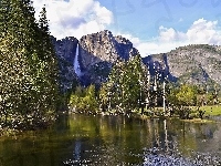 Las, USA, Góry, Rzeka, Park Narodowy Yosemite