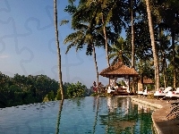 Viceroy, Dżungla, Palmy, Bali, Hotel, Basen