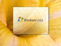Vista, Kwiatka, Logo, Windows, Środek