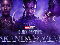 Film, Czarna pantera Wakanda w moim sercu, Black Panther Wakanda Forever, Plakat, Postacie
