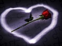 Róża, Walentynki, Serce