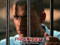 Wentworth Miller, Prison Break, kraty