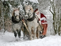 Konie, Święty Mikołaj, las, Mikołajki, Sanie, Zima