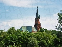 Kościół, Wieża, Drzewa