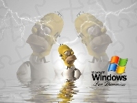 Homer, Windows, Simpson