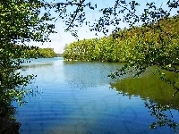 Jezioro, Wiosna, Drzewa