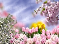 Kwiaty, Wiosna, Grafika