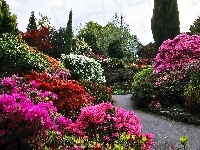 Park, Wiosna, Rododendrony