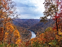 Drzewa, Lasy, Jesień, Wirginia Zachodnia, Wąwóz, New River Gorge Bridge, Stany Zjednoczone, Rzeka