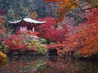Woda, Kyoto, Park, Mostek