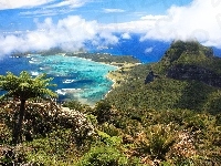 Wulkaniczna, Lord Howe, Wyspa, Australia