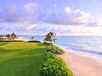Palmy, Wybrzeże, Morze, Pole golfowe