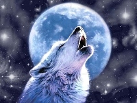 Wilk, Wyjący, Księżyc