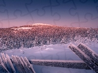 Laponia, Wzgórza, Drzewa, Śnieg, Finlandia, Osada Sallatunturi, Ogrodzenie