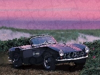 BMW, Zabytkowe, 507