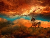 Zachód, Koń, Chmury, Słońca