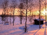 Śnieg, Drzewa, Zachód Słońca