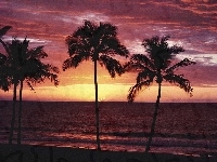 Zachód Słońca, Palmy, Morze