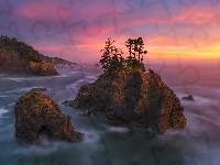Stan Oregon, Morze, Drzewa, Zachód słońca, Stany Zjednoczone, Park stanowy Samuela H. Boardmana, Skały