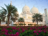 Sheikh Zayed, Kwiaty, Zjednoczone Emiraty Arabskie, Meczet, Palmy