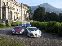 Zieleń, Bugatti Veyron, Pałac, Góry