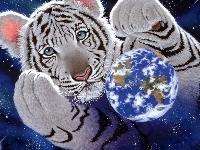 Ziemia, William Schimmel, Tygrys
