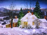Domki, Zima, Drzewa