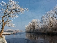 Zimowy, Rzeka, Drzewa, Widok