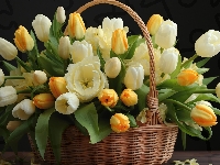 Listki, Białe, Kwiaty, Żółte, Koszyk, Tulipany