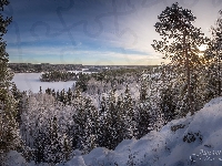 Park Aulanko, Finlandia, Lasy, Hameenlinna, Zima, Jezioro Aulangonjarvi, Drzewa