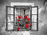 Okno, Kwiaty, Stary, Dom, Czerwone
