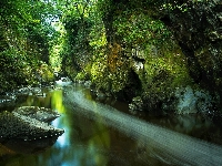 Rzeka Conwy, Drzewa, Kamienie, Wioska Betws y Coed, Park Narodowy Snowdonia, Wąwóz Fairy Glen, Walia, Skały