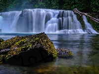 Osada Cougar, Omszałe, Las, Stany Zjednoczone, Wodospad Lower Lewis River Falls, Stan Waszyngton, Kamienie