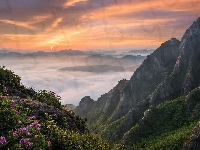 Park Narodowy Wolchulsan, Mgła, Wschód słońca, Korea Południowa, Góry Wolchulsan, Prowincja Jeolla Południowa, Kwiaty