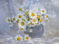 Kwiaty, Wazonik, Rumian polny, Białe, Bokeh