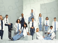 Grey s Anatomy, Chirurdzy, Obsada