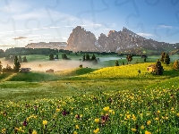 Domy, Góry Sassolungo, Kwiaty, Dolina Val Gardena, Drzewa, Dolomity, Mgła, Płaskowyż Seiser Alm, Włochy, Łąka