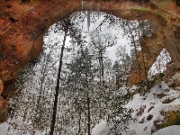 Stan Kentucky, Skalny, Drzewa, Łuk, Stany Zjednoczone, Kanion Red River Gorge, Zima