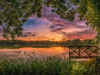 Pomost, Łabędź, Chmury, Jezioro, Drzewa, Zachód słońca