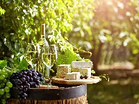 Sery, Ogród, Białe, Wino, Winogrona