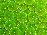 Plasterki, Owoce, Limonka