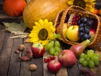 Koszyk, Owoce, Jesieni, Słonecznik