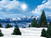 Śnieg, Góry, Choinki