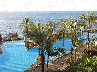 Madera, Miejscowość Funchal, Palmy, Morze, Wakacje, Basen, Hotel Pestana Promenade, Portugalia, Ocean Atlantycki