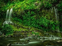 Hrabstwo Siskiyou, Roślinność, Stany Zjednoczone, Wodospad Mossbrae Falls, Rzeka, Stan Kalifornia