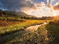 Kranjska Gora, Drzewa, Rzeka, Alpy Julijskie, Zschód słońca, Słowenia, Rezerwat przyrody Zelenci Springs, Łąka