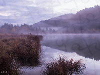 Mgła, Góry Jura, Francja, Jezioro Lac de Lamoura, Trawy, Departament Jura