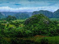 Dolina Valle de Vinales, Pasmo Sierra de los Organos, Kuba, Prowincja Pinar del Rio, Wzgórza