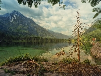 Jezioro Hintersee, Gmina Ramsau bei Berchtesgaden, Niemcy, Drzewo, Góry Alpy, Lasy, Bawaria